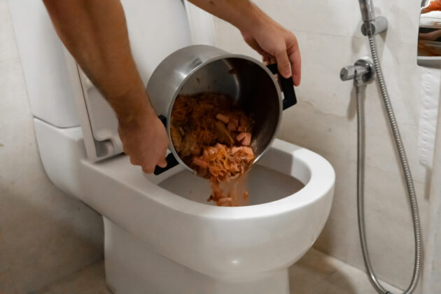 Can You Flush Food Down the Toilet